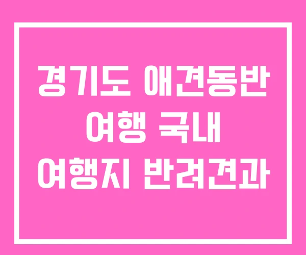 경기도 애견동반 여행 국내 여행지 반려견과 경기도 애견동반 여행 국내 여행지 반려견과