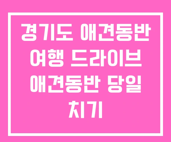 경기도 애견동반 여행 드라이브 애견동반 당일 치기
