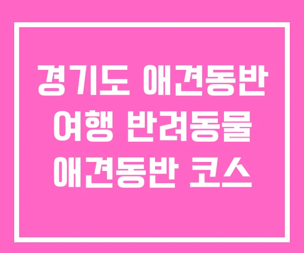 경기도 애견동반 여행 반려동물 애견동반 코스 경기도 애견동반 여행 반려동물 애견동반 코스
