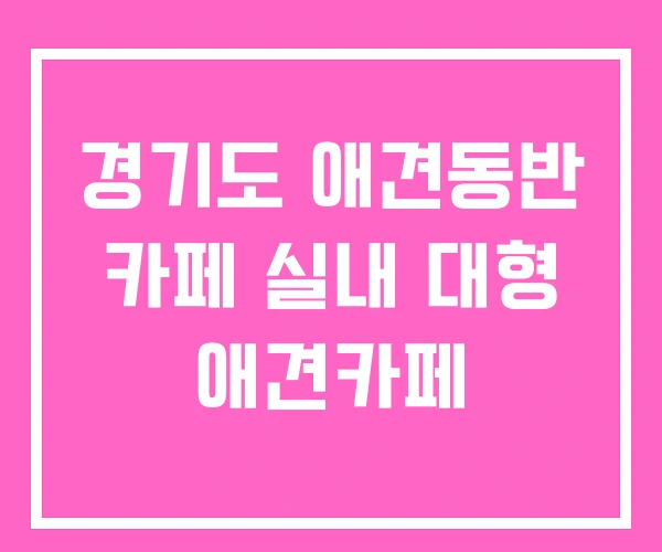경기도 애견동반 카페 실내 대형 애견카페 경기도 애견동반 카페 실내 대형 애견카페