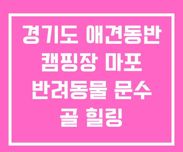 경기도 애견동반 캠핑장 마포 반려동물 문수 골 힐링