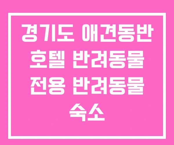 경기도 애견동반 호텔 반려동물 전용 반려동물 숙소