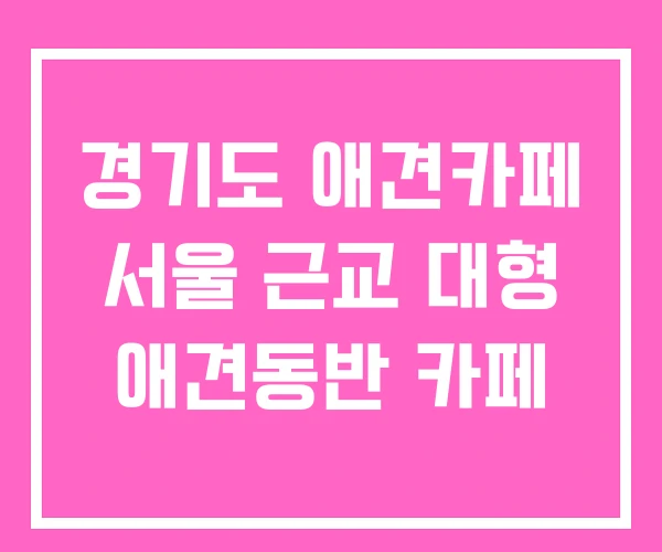 경기도 애견카페 서울 근교 대형 애견동반 카페 경기도 애견카페 서울 근교 대형 애견동반 카페