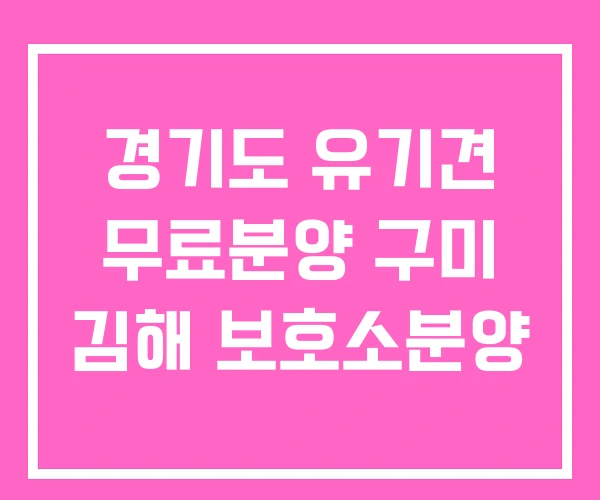 경기도 유기견 무료분양 구미 김해 보호소분양 경기도 유기견 무료분양 구미 김해 보호소분양