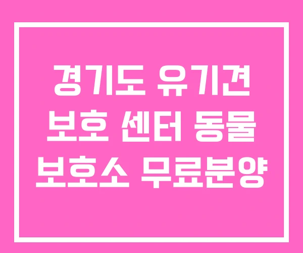 경기도 유기견 보호 센터 동물 보호소 무료분양