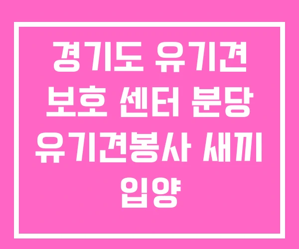 경기도 유기견 보호 센터 분당 유기견봉사 새끼 입양 경기도 유기견 보호 센터 분당 유기견봉사 새끼 입양