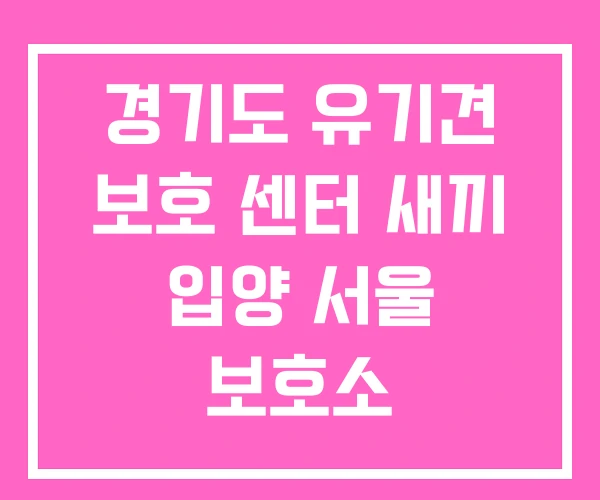 경기도 유기견 보호 센터 새끼 입양 서울 보호소 경기도 유기견 보호 센터 새끼 입양 서울 보호소