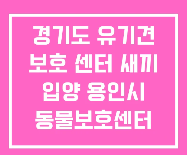 경기도 유기견 보호 센터 새끼 입양 용인시 동물보호센터 경기도 유기견 보호 센터 새끼 입양 용인시 동물보호센터