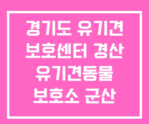 경기도 유기견 보호센터 경산 유기견동물 보호소 군산 경기도 유기견 보호센터 경산 유기견동물 보호소 군산