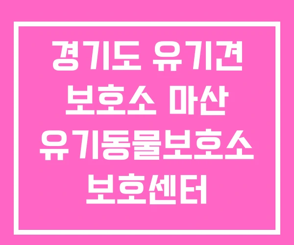 경기도 유기견 보호소 마산 유기동물보호소 보호센터