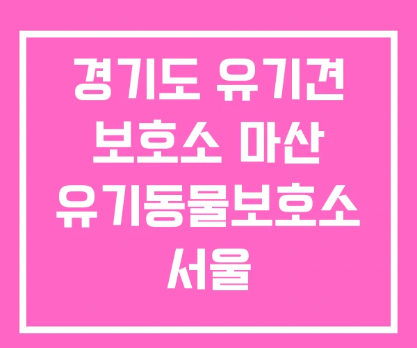 경기도 유기견 보호소 마산 유기동물보호소 서울 경기도 유기견 보호소 마산 유기동물보호소 서울