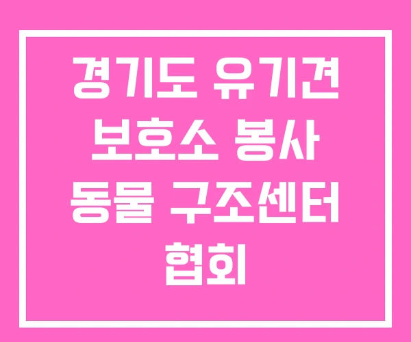 경기도 유기견 보호소 봉사 동물 구조센터 협회 경기도 유기견 보호소 봉사 동물 구조센터 협회