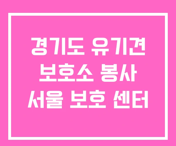 경기도 유기견 보호소 봉사 서울 보호 센터 경기도 유기견 보호소 봉사 서울 보호 센터