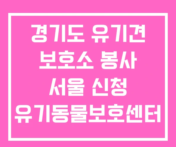 경기도 유기견 보호소 봉사 서울 신청 유기동물보호센터 경기도 유기견 보호소 봉사 서울 신청 유기동물보호센터