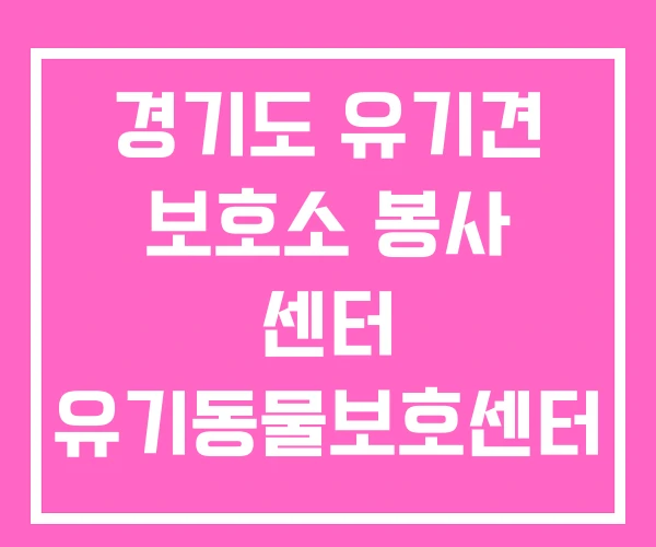 경기도 유기견 보호소 봉사 센터 유기동물보호센터 경기도 유기견 보호소 봉사 센터 유기동물보호센터