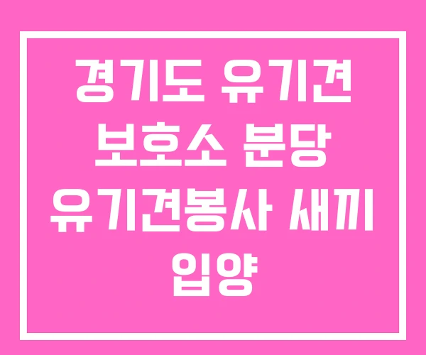 경기도 유기견 보호소 분당 유기견봉사 새끼 입양 경기도 유기견 보호소 분당 유기견봉사 새끼 입양