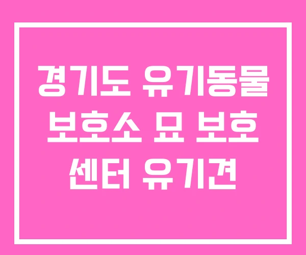 경기도 유기동물 보호소 묘 보호 센터 유기견 경기도 유기동물 보호소 묘 보호 센터 유기견