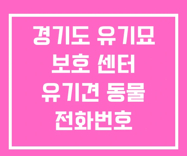 경기도 유기묘 보호 센터 유기견 동물 전화번호