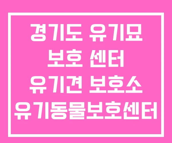 경기도 유기묘 보호 센터 유기견 보호소 유기동물보호센터