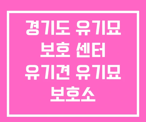 경기도 유기묘 보호 센터 유기견 유기묘 보호소 경기도 유기묘 보호 센터 유기견 유기묘 보호소