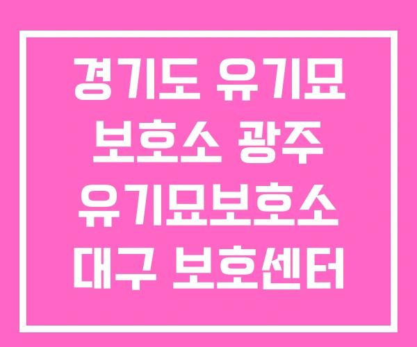 경기도 유기묘 보호소 광주 유기묘보호소 대구 보호센터