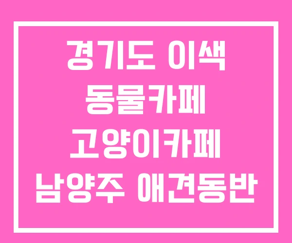 경기도 이색 동물카페 고양이카페 남양주 애견동반 식당 경기도 이색 동물카페 고양이카페 남양주 애견동반 식당