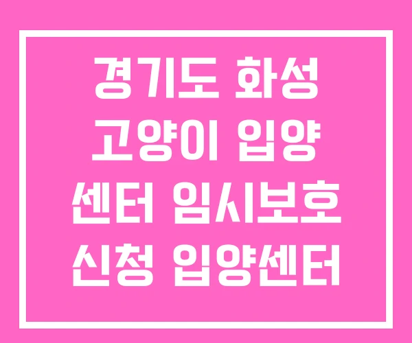경기도 화성 고양이 입양 센터 임시보호 신청 입양센터