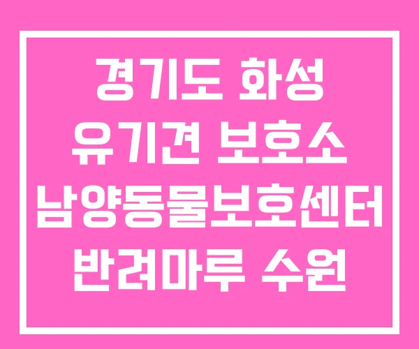 경기도 화성 유기견 보호소 남양동물보호센터 반려마루 수원