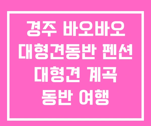 경주 바오바오 대형견동반 펜션 대형견 계곡 동반 여행 경주 바오바오 대형견동반 펜션 대형견 계곡 동반 여행