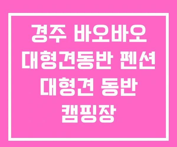 경주 바오바오 대형견동반 펜션 대형견 동반 캠핑장 경주 바오바오 대형견동반 펜션 대형견 동반 캠핑장