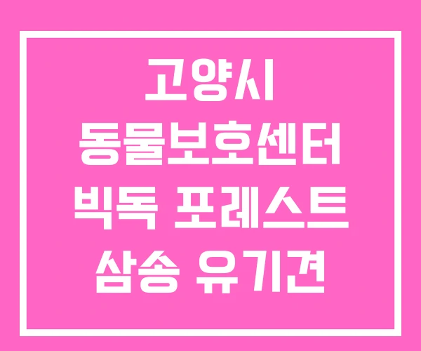 고양시 동물보호센터 빅독 포레스트 삼송 유기견 보호소 고양시 동물보호센터 빅독 포레스트 삼송 유기견 보호소