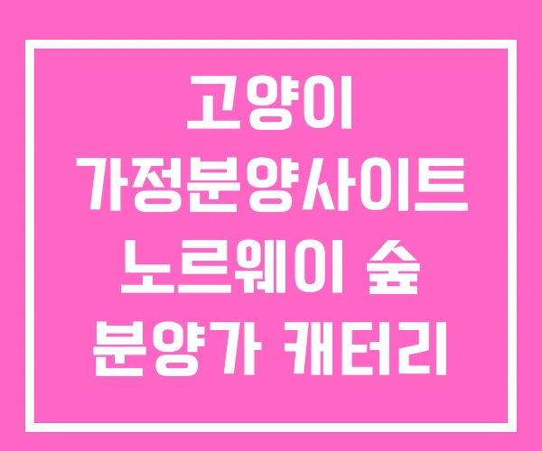 고양이 가정분양사이트 노르웨이 숲 분양가 캐터리