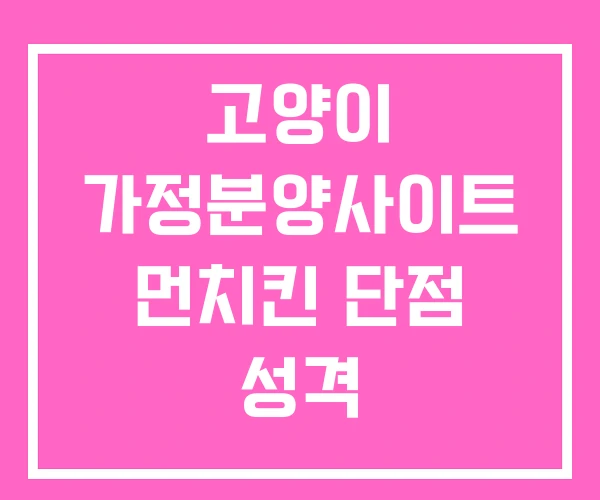 고양이 가정분양사이트 먼치킨 단점 성격