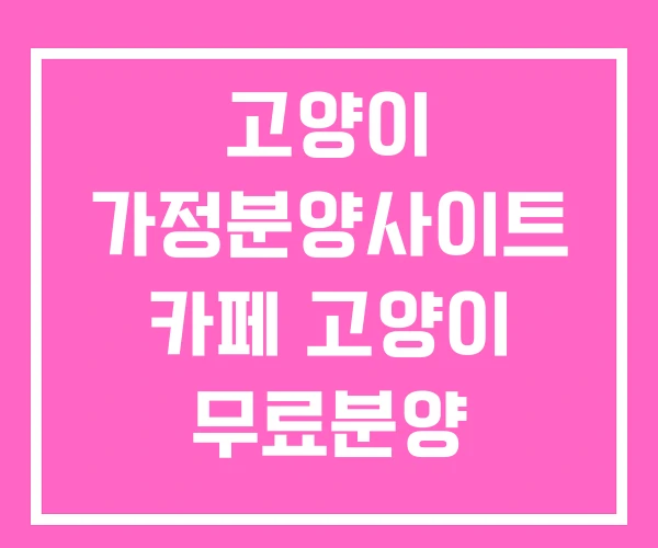 고양이 가정분양사이트 카페 고양이 무료분양 고양이 가정분양사이트 카페 고양이 무료분양