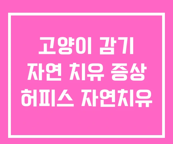 고양이 감기 자연 치유 증상 허피스 자연치유 고양이 감기 자연 치유 증상 허피스 자연치유
