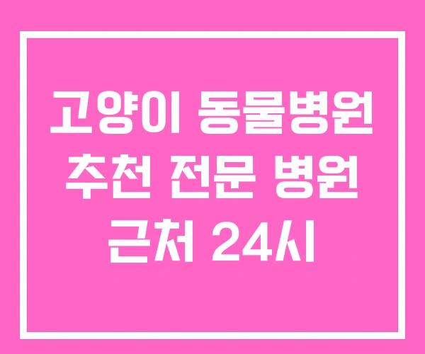 고양이 동물병원 추천 전문 병원 근처 24시 고양이 동물병원 추천 전문 병원 근처 24시