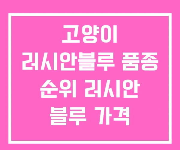 고양이 러시안블루 품종 순위 러시안 블루 가격 고양이 러시안블루 품종 순위 러시안 블루 가격