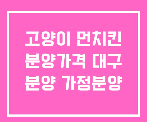 고양이 먼치킨 분양가격 대구 분양 가정분양 고양이 먼치킨 분양가격 대구 분양 가정분양