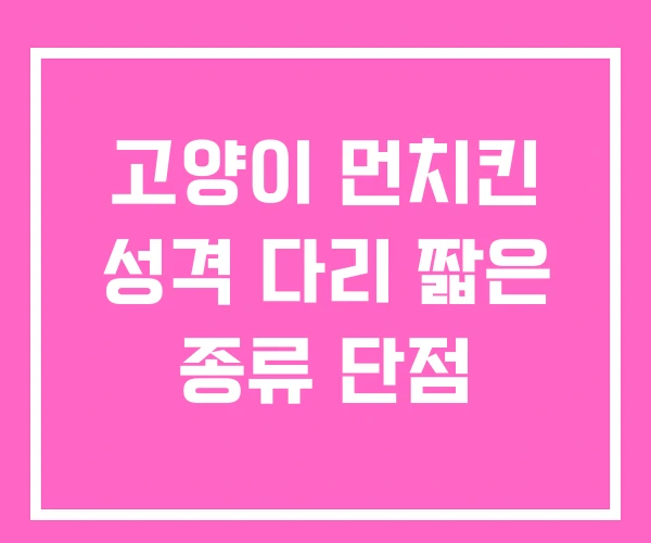 고양이 먼치킨 성격 다리 짧은 종류 단점 고양이 먼치킨 성격 다리 짧은 종류 단점