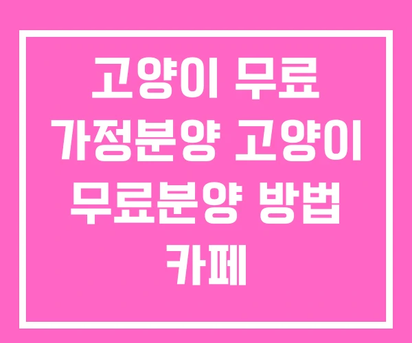 고양이 무료 가정분양 고양이 무료분양 방법 카페