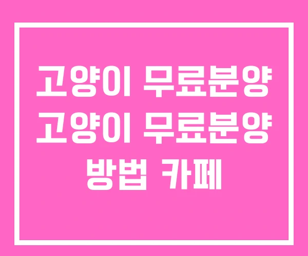 고양이 무료분양 고양이 무료분양 방법 카페
