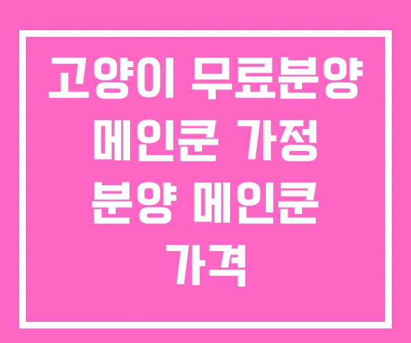 고양이 무료분양 메인쿤 가정 분양 메인쿤 가격 고양이 무료분양 메인쿤 가정 분양 메인쿤 가격