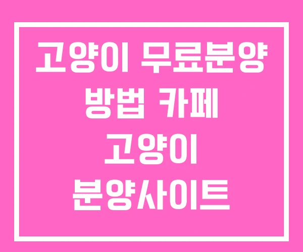 고양이 무료분양 방법 카페 고양이 분양사이트