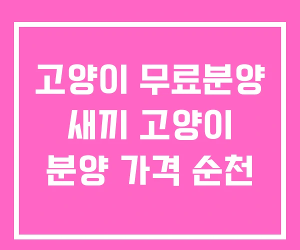 고양이 무료분양 새끼 고양이 분양 가격 순천 고양이 무료분양 새끼 고양이 분양 가격 순천