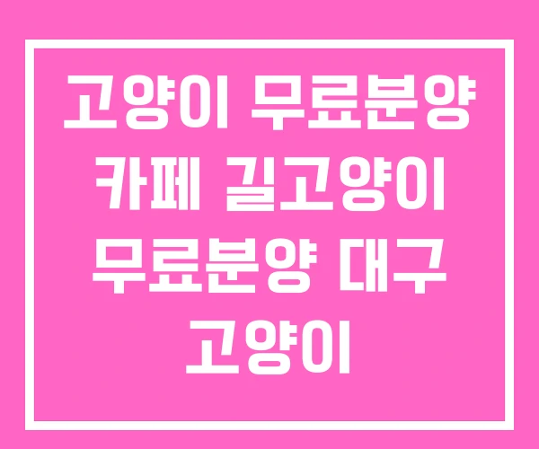 고양이 무료분양 카페 길고양이 무료분양 대구 고양이