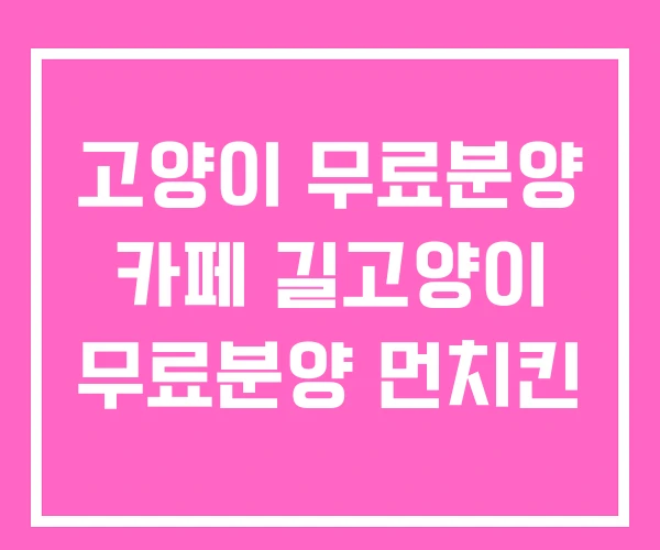 고양이 무료분양 카페 길고양이 무료분양 먼치킨