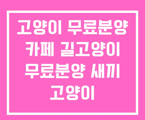 고양이 무료분양 카페 길고양이 무료분양 새끼 고양이