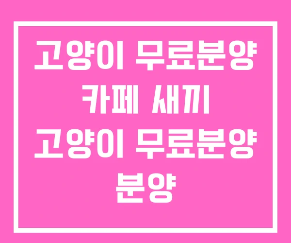 고양이 무료분양 카페 새끼 고양이 무료분양 분양 고양이 무료분양 카페 새끼 고양이 무료분양 분양