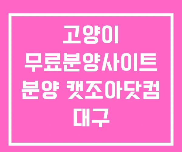 고양이 무료분양사이트 분양 캣조아닷컴 대구