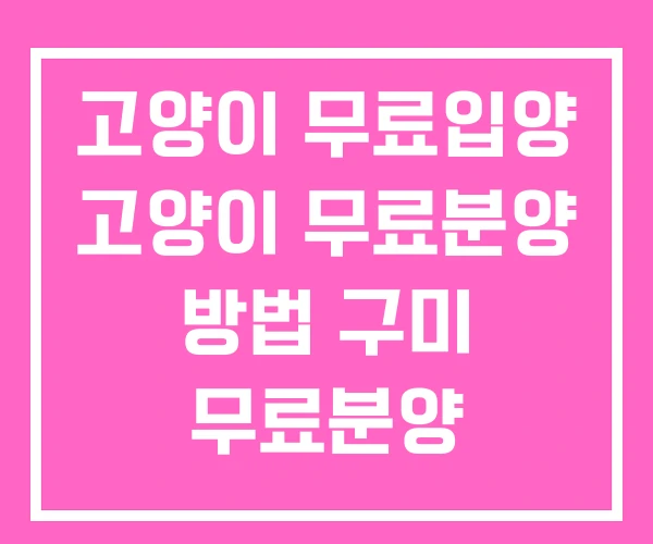 고양이 무료입양 고양이 무료분양 방법 구미 무료분양 고양이 무료입양 고양이 무료분양 방법 구미 무료분양